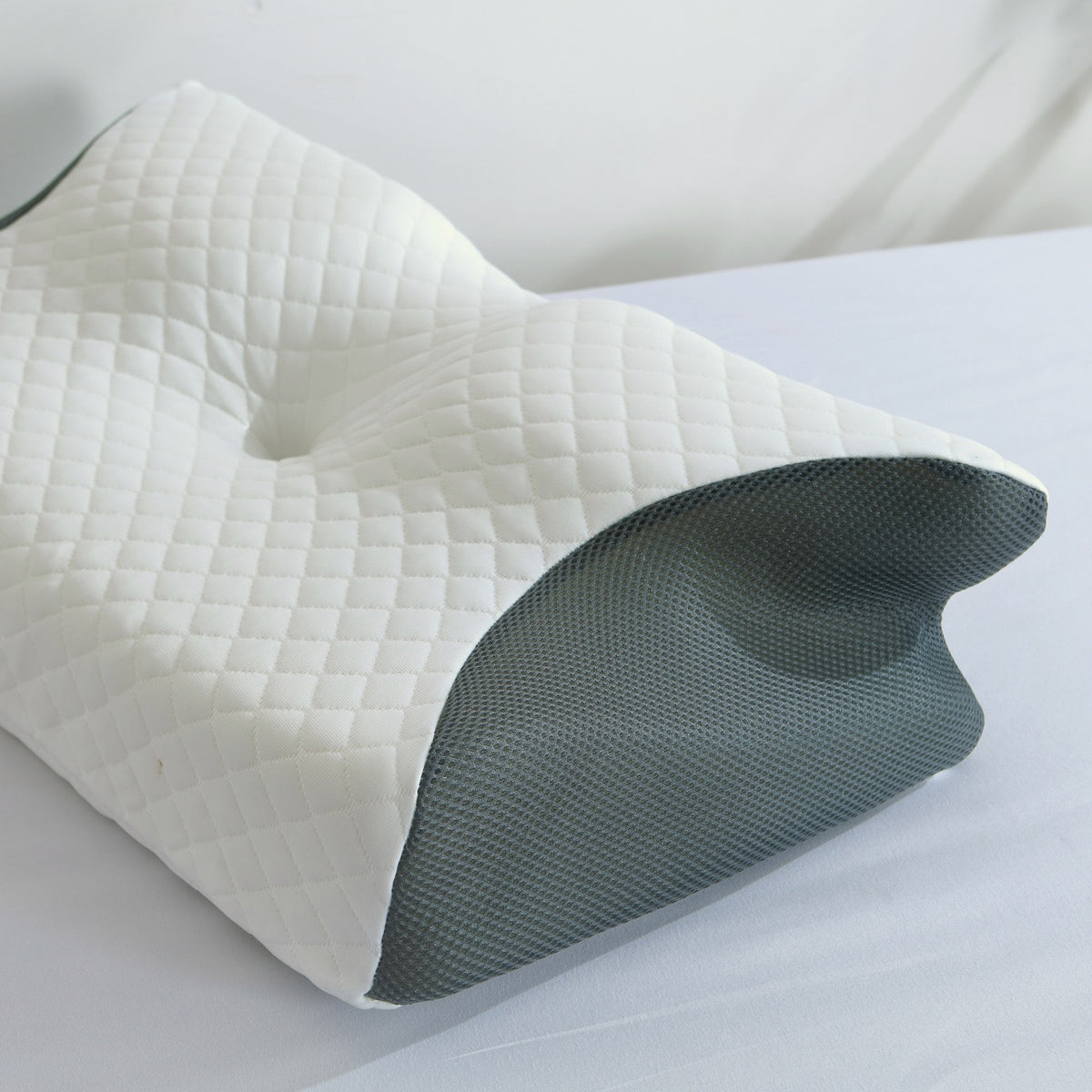 Wingspire Pillow
