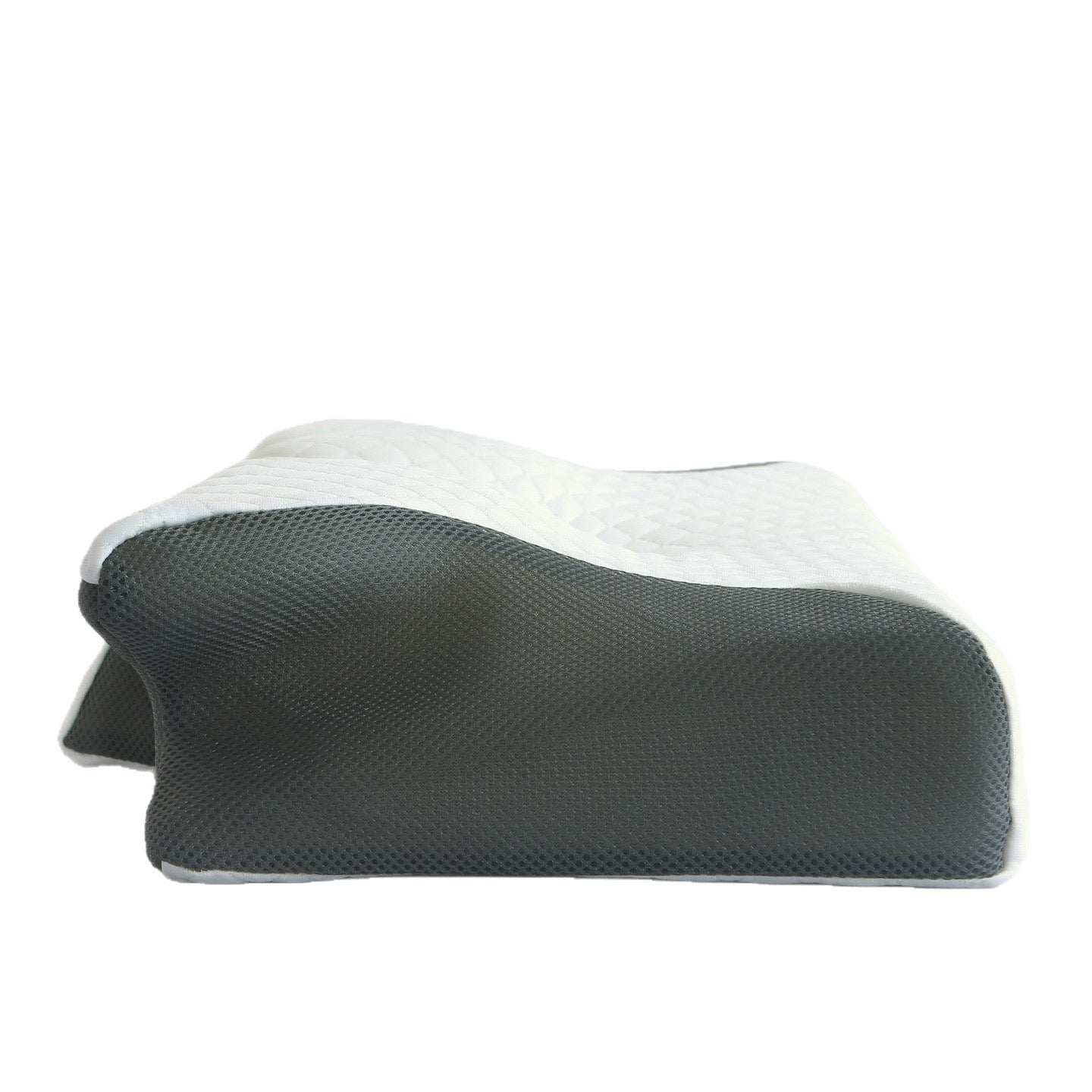 Wingspire Pillow